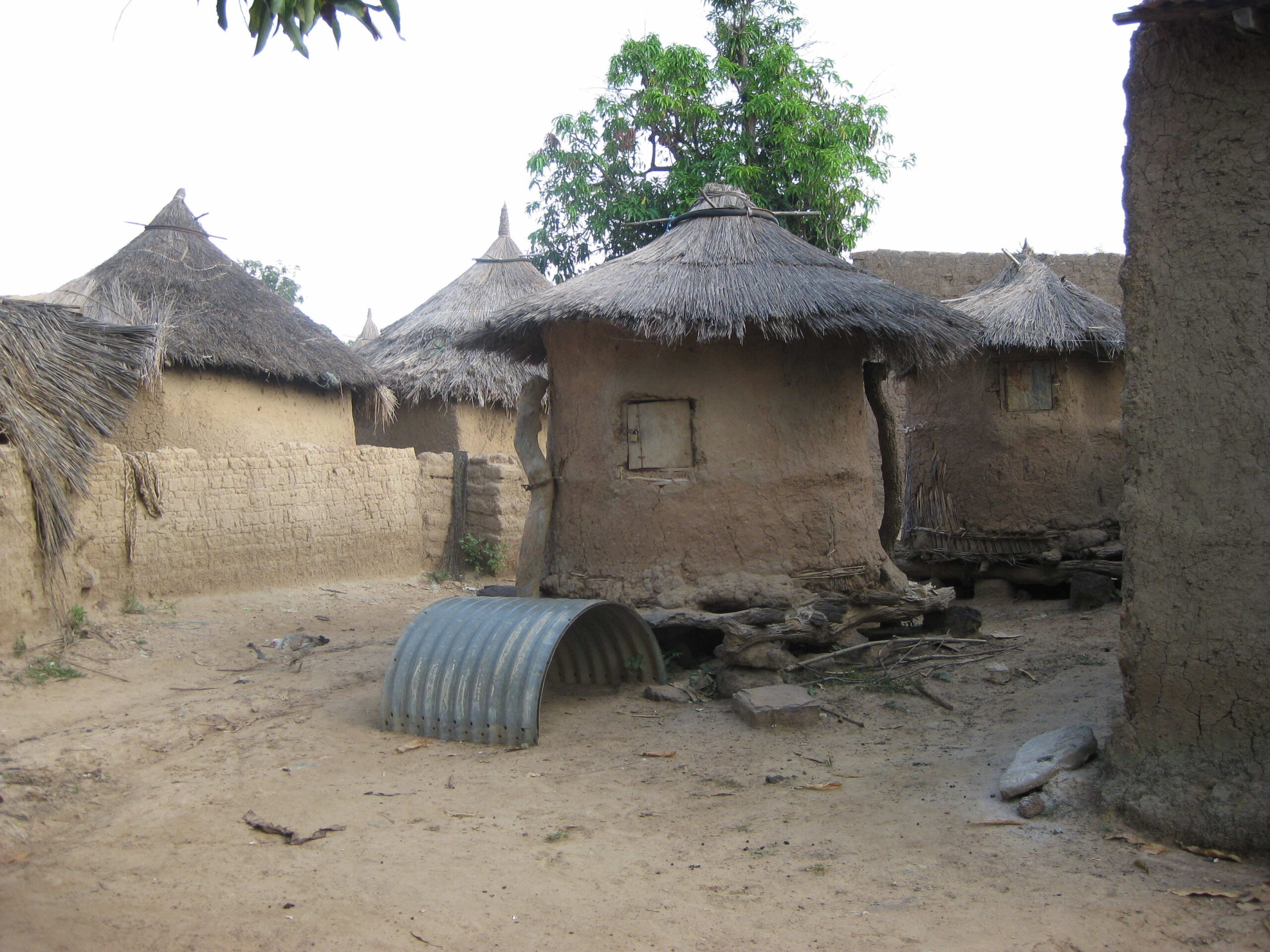 Mali_2008 250